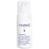 CAUDALİE VİNOPERFECT FOAM 100ML
